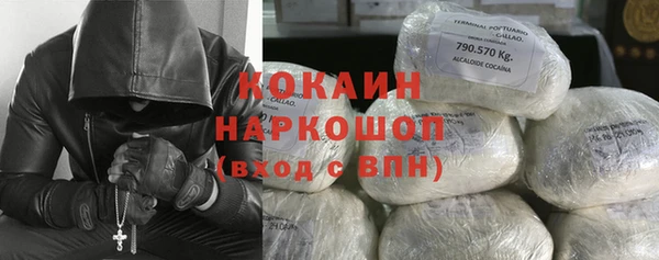 винт Абаза