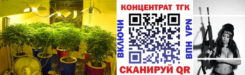 дарнет шоп  Азнакаево  ТГК THC oil 
